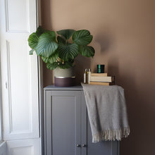 Load image into Gallery viewer, MELROSE