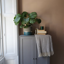 Load image into Gallery viewer, MELROSE