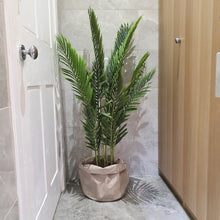 Load image into Gallery viewer, BRAEMAR