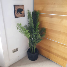 Load image into Gallery viewer, BRAEMAR