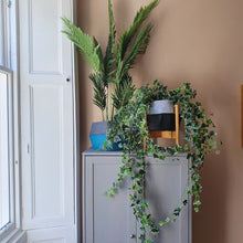 Load image into Gallery viewer, CLOVA