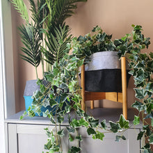 Load image into Gallery viewer, CLOVA