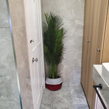 Load image into Gallery viewer, CLOVA