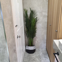 Load image into Gallery viewer, CLOVA