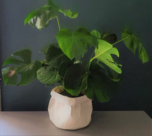 Load image into Gallery viewer, BRAEMAR