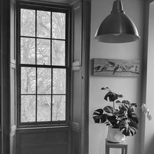 Load image into Gallery viewer, BRAEMAR