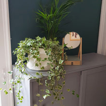 Load image into Gallery viewer, BRAEMAR