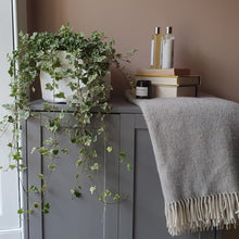 Load image into Gallery viewer, BRAEMAR