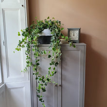 Load image into Gallery viewer, CLOVA