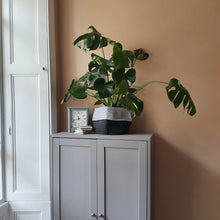 Load image into Gallery viewer, CLOVA