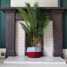 Load image into Gallery viewer, CLOVA