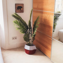 Load image into Gallery viewer, CLOVA