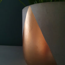 Load image into Gallery viewer, TALLA