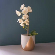 Load image into Gallery viewer, TALLA