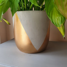 Load image into Gallery viewer, TALLA