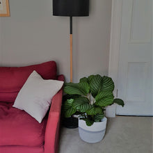 Load image into Gallery viewer, ISLAY