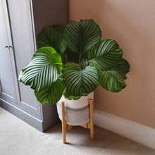 Load image into Gallery viewer, ISLAY